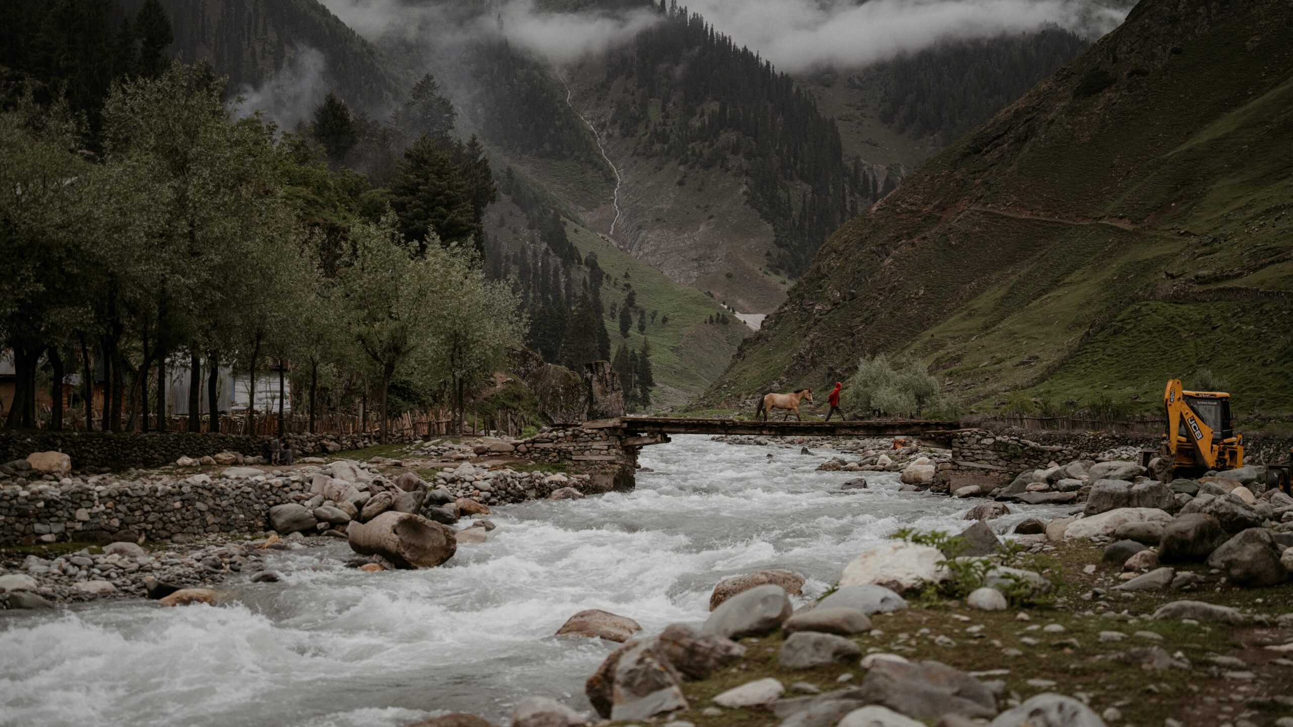 kashmir